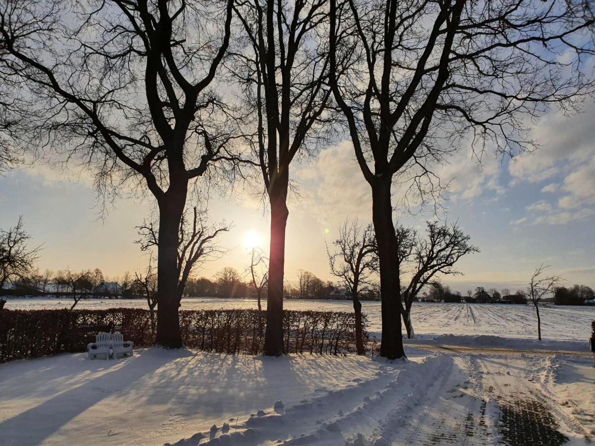 De Bloesemstee - Rustic Manor Farmhouse The Netherlands Ruinerwold エクステリア 写真